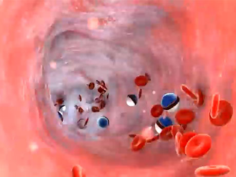 forensic Animation Company