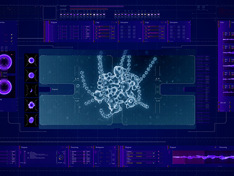 Motion Graphics animation